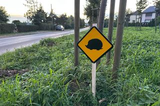 Nietypowe znaki drogowe w Piekarach Śląskich. Ostrzegają o... jeżach. Tak miasto dba o bezpieczeństwo małych ssaków