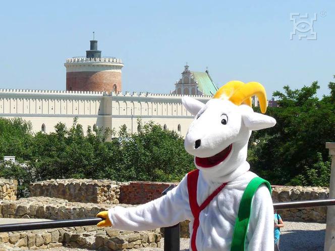 Lato z historią