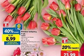 Podaruj miłość w wyjątkowej cenie!