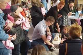 Miss i mister yorków w SCC