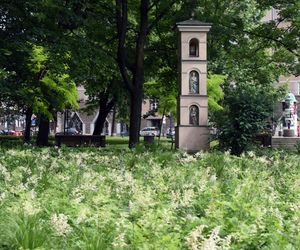 Kraków: Zaczął dusić lekarkę w parku. W jego mieszkaniu znaleziono zmasakrowane zwłoki matki