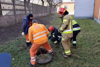 Nielegalny zrzut ścieków w centrum Łodzi. Odkryto niebezpieczną chemię w kanalizacji