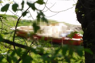 Makabryczne odkrycie. Zwłoki kobiety w Wiśle, na miejscu policja