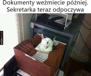 Memy z okazji Dnia Sekretarki 