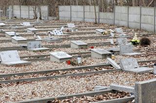 Mysłowice. Zdewastowany cmentarz przy ul. Oświęcimskiej