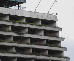 Hotel Forum - zdjęcia. Czy zniszczona mozaika z Panoramy zostanie odtworzona?