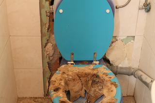 Dramat, mieszkanie komunalne pływa w fekaliach. Pani Magda załamuje ręce: Tak jest od 15 lat