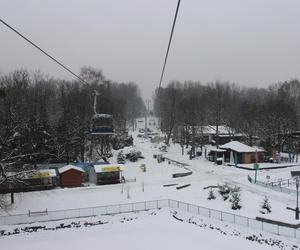 Elka w Parku Śląskim. Widok z góry