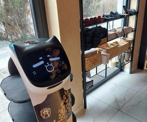 Nowa restauracja w Bydgoszczy. Gotują tu Azjaci, a do stołu podaje robot. Jest też pierwszy w regionie hot-pot