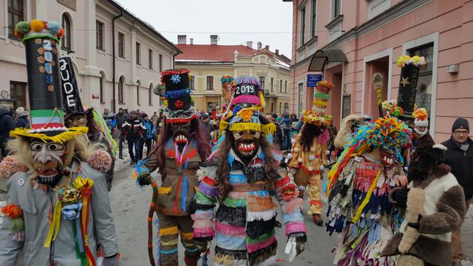 Gody Żywieckie plener