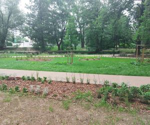 Park im. Szafera w Rzeszowie 