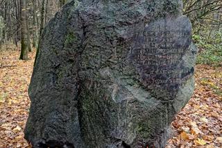 Rezerwat przyrody Meteoryt Morasko