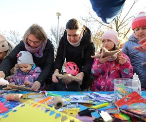 W Gdańsku rozbłysły pierwsze dzielnicowe choinki