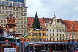 Na rynku we Wrocławiu stawiają 24-metrową choinkę. Będzie inna od poprzedniej 