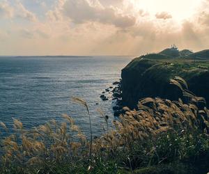 Jeju Korea w Katowice: Tak wygląda wyspa w Korei Południowej