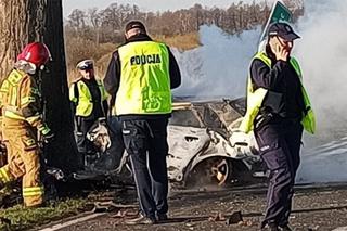 Tragiczny wypadek w miejscowości Głogowiniec [ZDJĘCIA] 