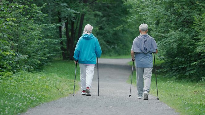 Bezpłatne zajęcia edukacyjne i kulturalne