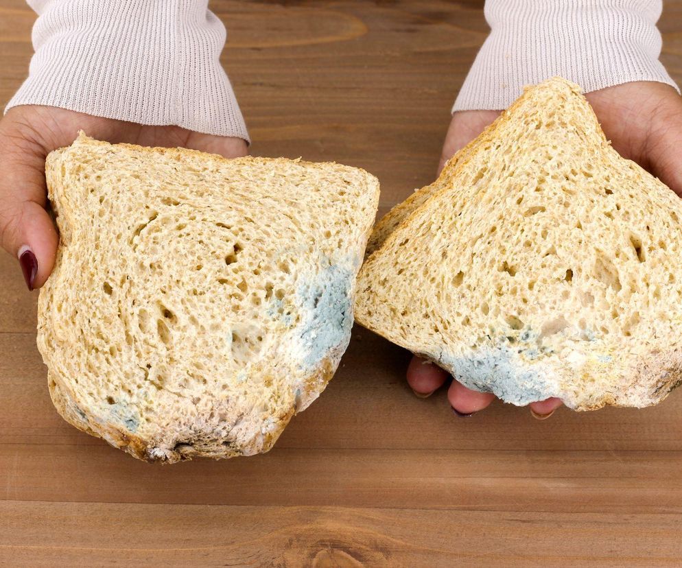 Chleb w koszu to nie zawsze dobry pomysł – Polacy nagminnie łamią te zasady