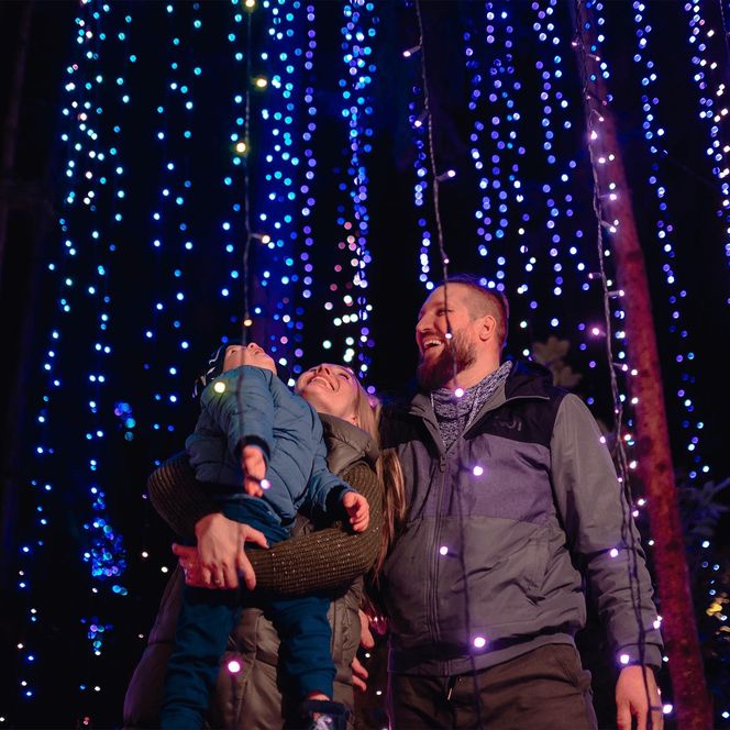 Śląsk zamienia się w Krainę Czarów. Ta magiczna wystawa świateł to absolutny hit jesieni i zimy