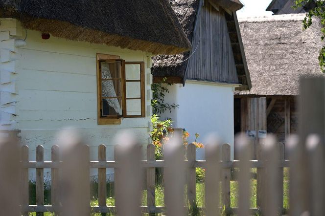 Malownicza wieś w Łódzkiem. Stoi tam unikatowy młyn z 1820 roku