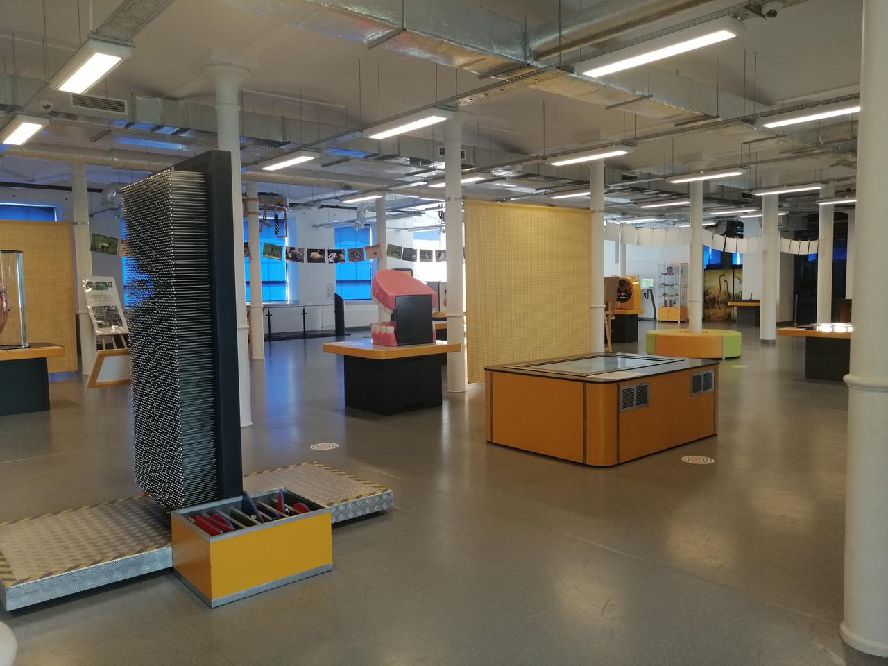 Centrum Przyrodnicze fascynuje ekspozycjami [WIDEO]