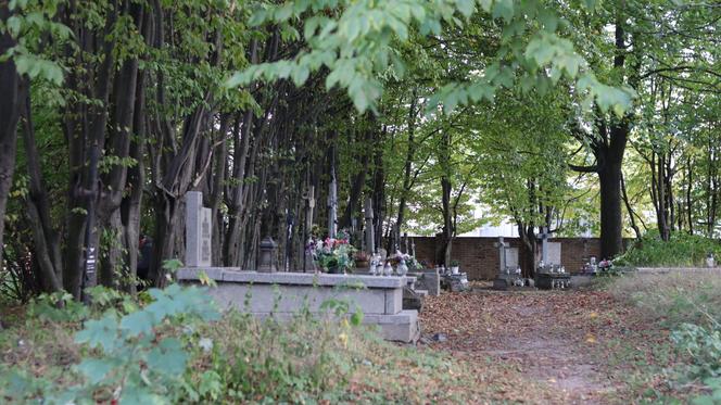 Lubelski cmentarz ukryty wśród drzew. Pochowani tu są mariawici. Zobacz