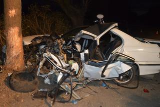 Groźny wypadek pod Toruniem. Kierowca BMW uderzył w drzewo. Policja prosi o pomoc świadków [ZDJĘCIA]