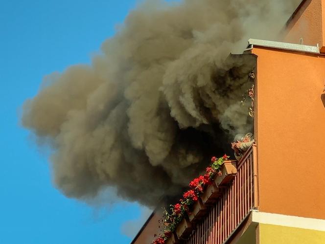 Pożar w bloku. Uwięziony staruszek czekał na pomoc z doniczką na głowie. 