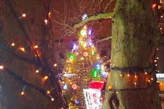 Świąteczne iluminacje na Zamku Książąt Pomorskich w Szczecinie