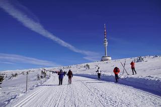 Bajkowy Pradziad, czyli czeski raj dla narciarzy