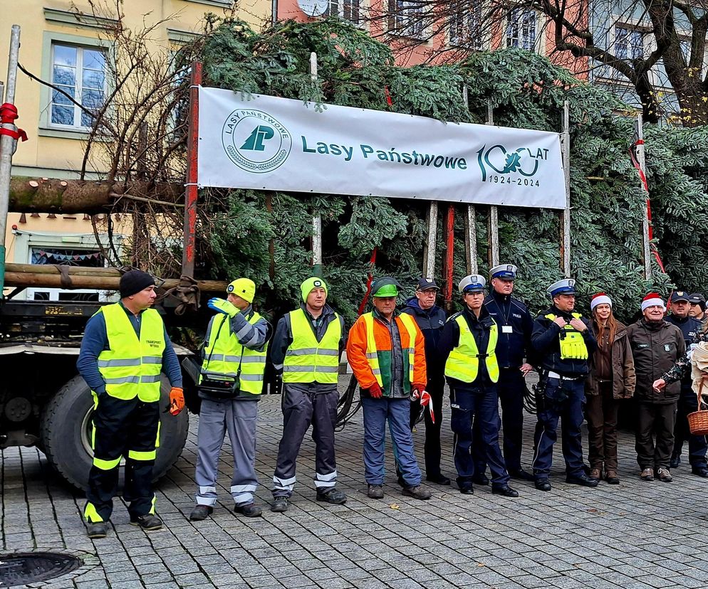 Choinka od lesników