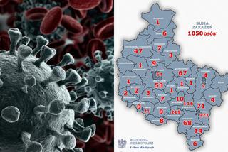 Koronawirus w Wielkopolsce. DOBRE wiadomości! Ile osób wyzdrowiało?