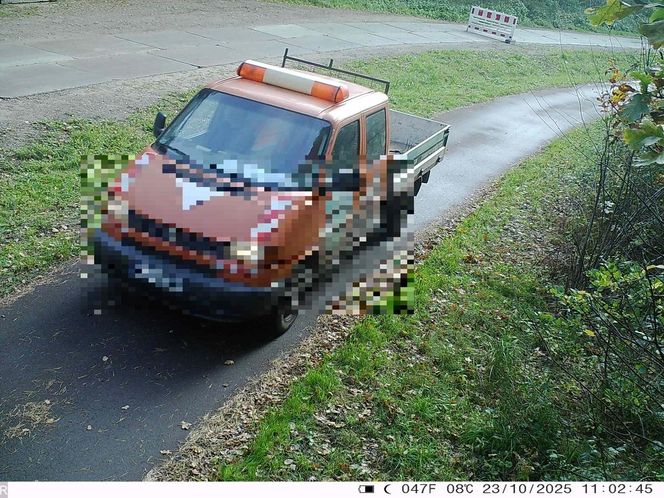 Świadomie łamali przepisy i liczyli, że się nie wyda