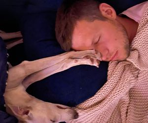 Wszyscy szukają Heńka! Za pomoc wyznaczono nagrodę. Żeby nikomu nie opłaco się go przetrzymywać