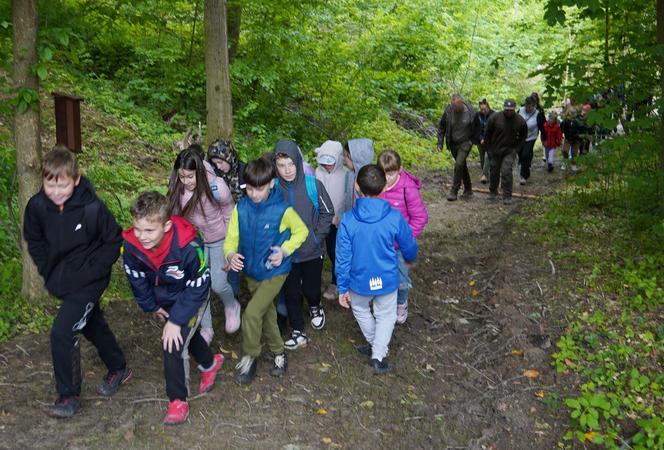 Nowa atrakcja w Małopolsce. Audioprzewodnik leśny turystycznym hitem!