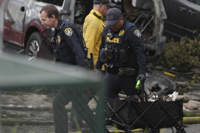 Katastrofa lotnicza w USA. W San Diego rozbił się prywatny samolot. Są ofiary śmiertelne