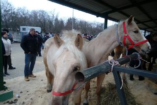 Skaryszewskie Wstępy przeniesione na lipiec