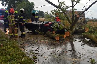 Koszmarny wypadek w powiecie świecki, Mężczyzna zginął na oczach rodziny przygnieciony konarem