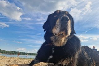 Oto urocze psiaki naszych Czytelników!