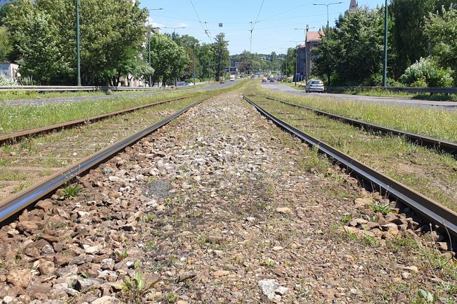 Krakowska firma przebuduje torowisko wzdłuż ulicy 1 Maja oraz Andersa w Sosnowcu. Tramwaje Śląskie wybrały wykonawcę prac 