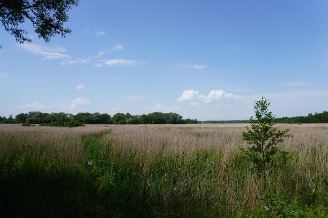 Narwiański Park Narodowy