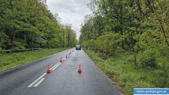 18-latka zginęła w wypadku pod Lubinem. Wypadła z drogi BMW [ZDJĘCIA].