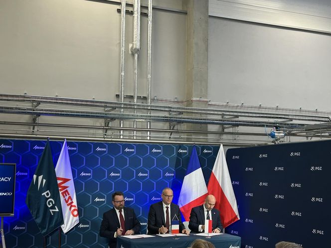 PGZ, MESKO i EURENCO