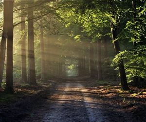 Znajdź relaks i naturę. Odkrywaj z nami Wieniec-Zdrój w okresie jesiennym