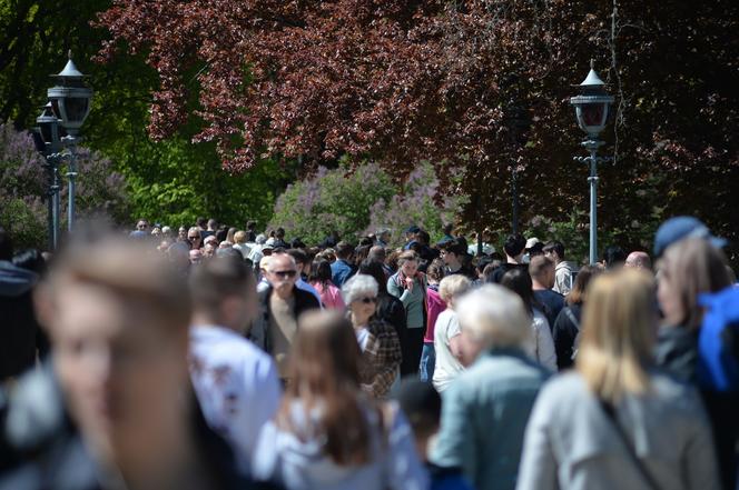 Piknik Europejski w Łazienkach Królewskich (1 maja)