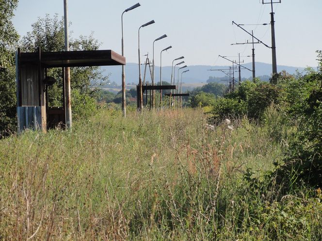 Trzebieńczyce - zarośnięty przystanek kolejowy na linii 103