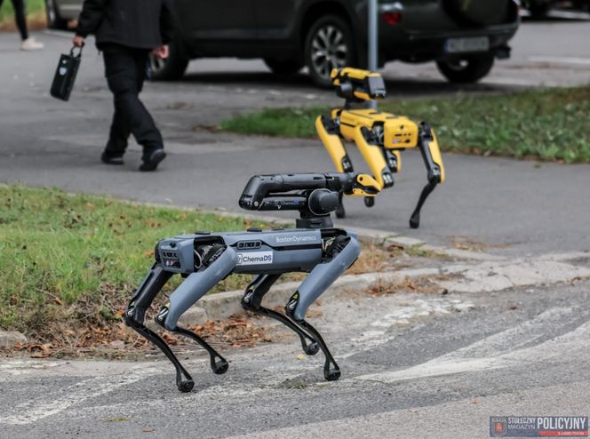 Robopies odwiedził i ćwiczył z warszawskimi policjantami