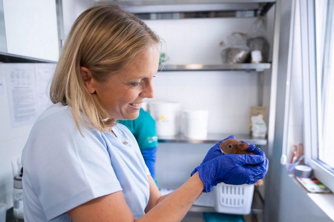 Małgorzata Trzaskowska. Kampania prezydencja