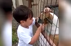 Mały chłopiec płacze na widok psa bez łapy. Ale wzruszające![WIDEO]
