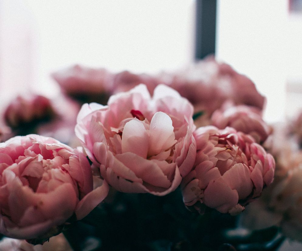 Życzenia imieninowe